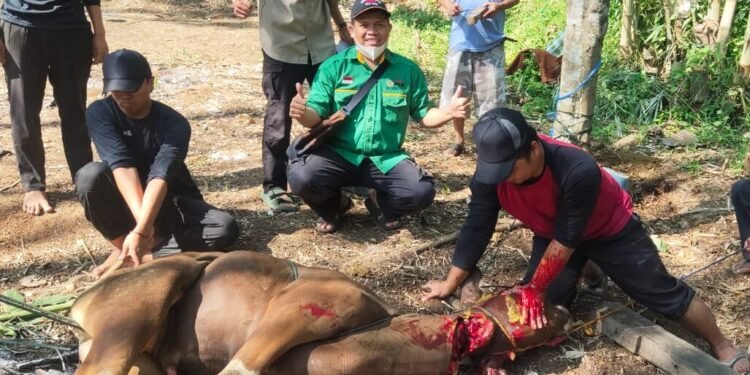 Ngorejat! Pemuda PUI KBB Sembelih 1 Sapi dan 5 Ekor Domba di Idul Adha 1445 H