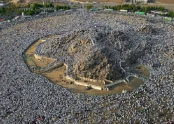 Hari Arafah: Puncak Kemuliaan, Lautan Ampunan